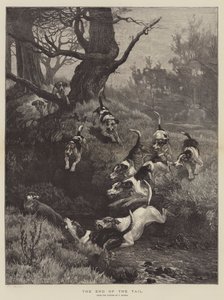 La fine della coda